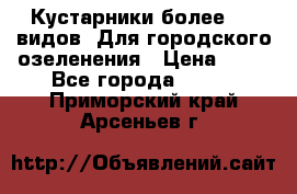 Кустарники более 100 видов. Для городского озеленения › Цена ­ 70 - Все города  »    . Приморский край,Арсеньев г.
